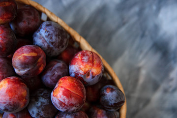 Overhead still life of purple plums in basket on grey textured background with copy space
