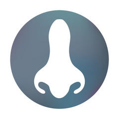 Fototapeta premium Farbiger Button - Nase