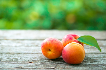 Beautiful ripe orange apricots with leaves on old wooden boards on a background of nature