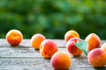 Beautiful ripe orange apricots with leaves on old wooden boards on a background of nature
