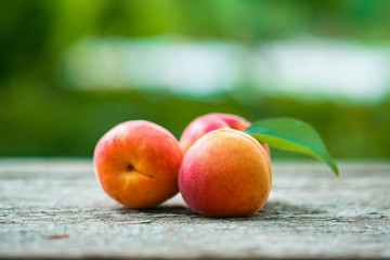 Beautiful ripe orange apricots with leaves on old wooden boards on a background of nature