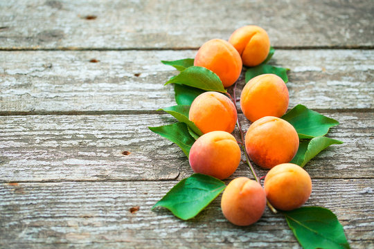 Beautiful ripe orange apricots with leaves on old wooden boards on a background of nature