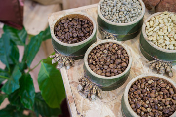 Coffee beans in bamboo tray  on brown wooden background