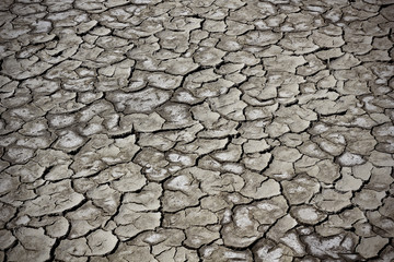 Dried out, cracked mud