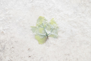 L'era Glaciale