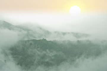 Misty mountains in the rainy season 