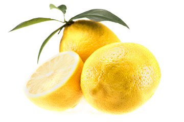 yellow juicy lemons