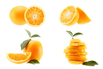 collection of juicy oranges