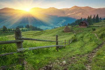 Fototapeta premium Majestic view of the woods glowing by sunlight at twilight. Dramatic and picturesque morning scene.