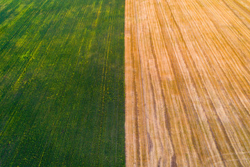 Aerial view of a pattern in the middle of the field
