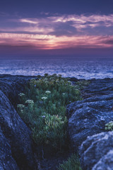 France_Paysage de Bretagne