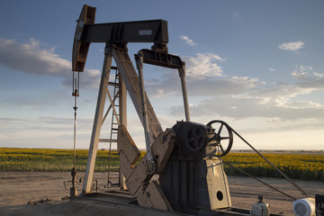 Oil Pump in Sunflower Fields