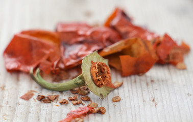 dry red hot chili paprika,
