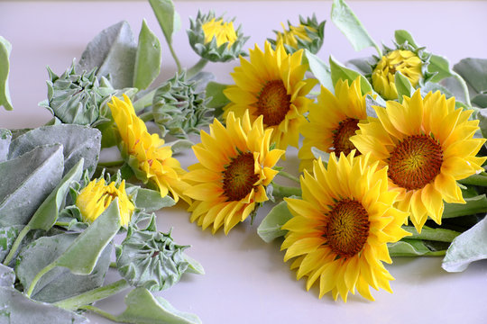 clay flower, sunflower bouquet