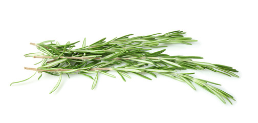 Fresh rosemary on white background