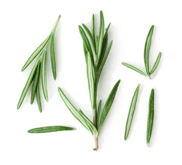 Cercles muraux Herbes Fresh rosemary on white background