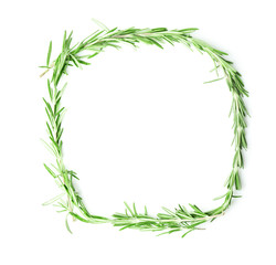 Frame of rosemary on white background