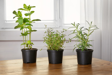 Pots with mint, thyme and rosemary on table