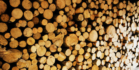 Woodpile firewood photo
