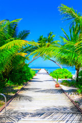 Dreamscape Escape On Maldives