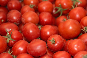background  of many red tomatoes with soft light