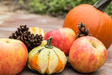 Autumn Gourds and Apples and Pumpkin