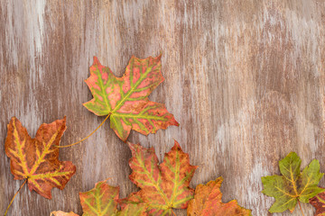Naklejka na ściany i meble Colorful Autumn Leaves On Wood Background