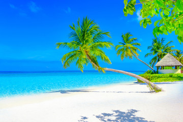 Fototapeta na wymiar Dreamscape Escape On Maldives