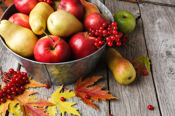 Naklejka na ściany i meble Autumn harvest and thanksgiving card background