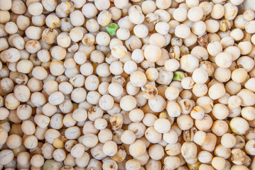 dried peas - plant light texture