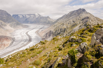 Fototapeta premium Riederalp, Bergdorf, Aletschgletscher, Gletscher, Aletsch, Moosfluh, Bettmerhorn, Bergstation, Wanderweg, Höhenweg, Wallis, Sommer, Schweiz