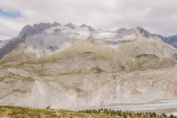 Riederalp, Aletsch, Aletschgletscher, Aletschwald, Fussh&ouml;rner, Gletscher, Wanderweg, Wallis, Moosfluh, H&ouml;henweg, Walliser Berge, Alpen, Sommer, Schweiz