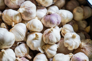 Close up large white  garlics