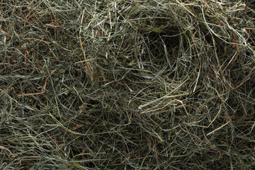 Dry grass texture and background, closeup