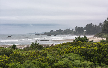 View of the coast along Crissey Field State Park, Oregon
