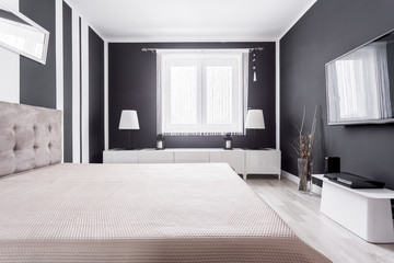 Relax zone in modern bedroom