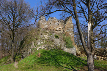 Fototapeta na wymiar Ruins of Čičva Castle, Slovakia