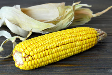 Corn cob  on wooden board