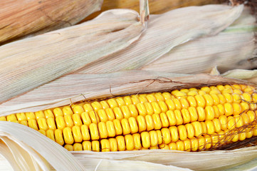 Top view of corn cob © izzzy71