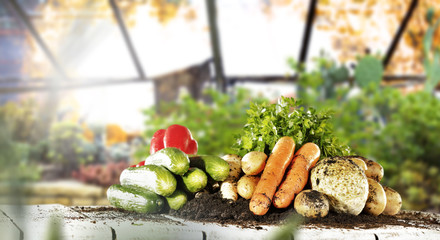 gardenhouse and table