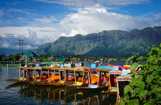 Landscape Of Dal Lake In Srinagar, India