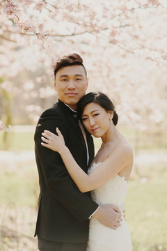 Wedding Portrait in front of Cherry Blossoms