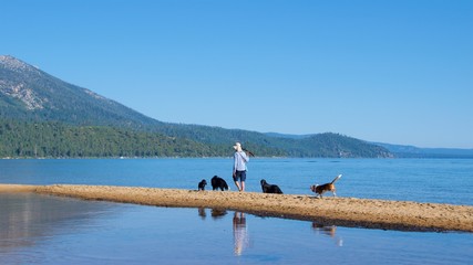 Fototapeta na wymiar South Lake Tahoe, California - August 2017: Dog lover playing with dogs at South Lake Tahoe in California
