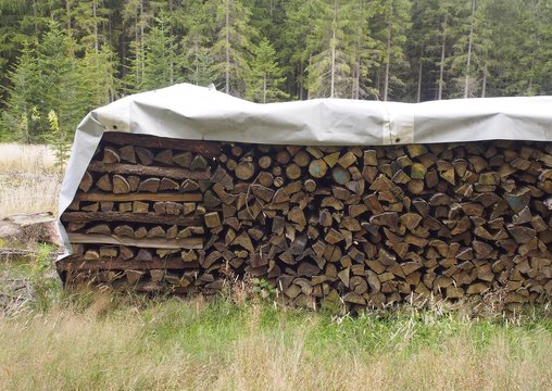 Waldlichtung - mit einer Plane abgedeckter Holzstapel 