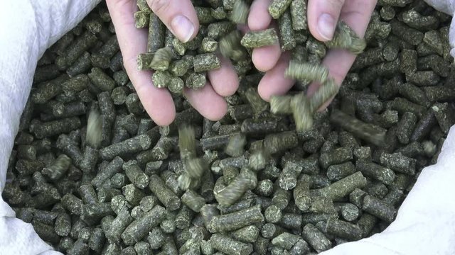 Close-up on pellets used as horse food