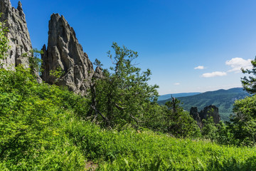 Mountain landscape- national nature reserve