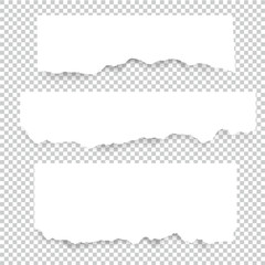 Set of blank Torn paper sheets. Vector note pieces collection with sticky tape.