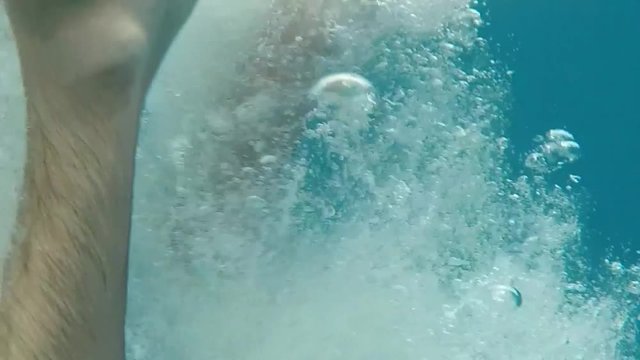 Boy fish dip - underwater shot in slow motion