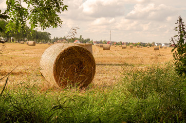 Pole, siano, słoma, lato // Summer field at the countryside © Małgorzata