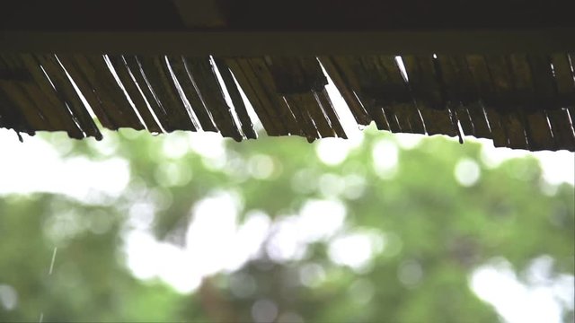 Close up footage rain drops falling on thatched roof with Green nature mountain background.